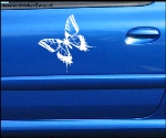 Vlinder Sticker op een autodeur
